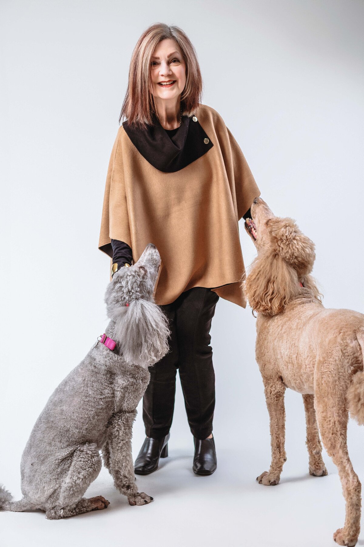 seattle-pet-photographer-8