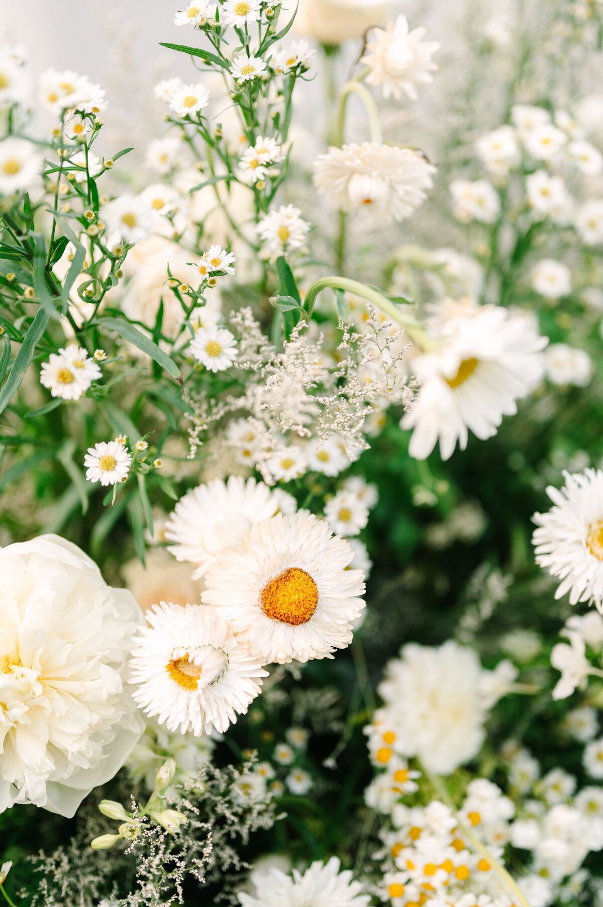 Best California Wedding Photographer-& Co by Jodee-Jodee Friday & Co-272