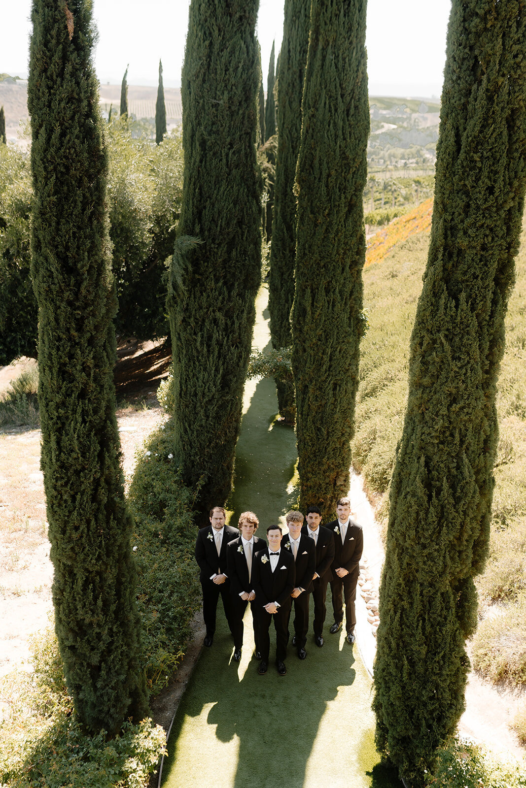 falkner winery temecula wedding 92