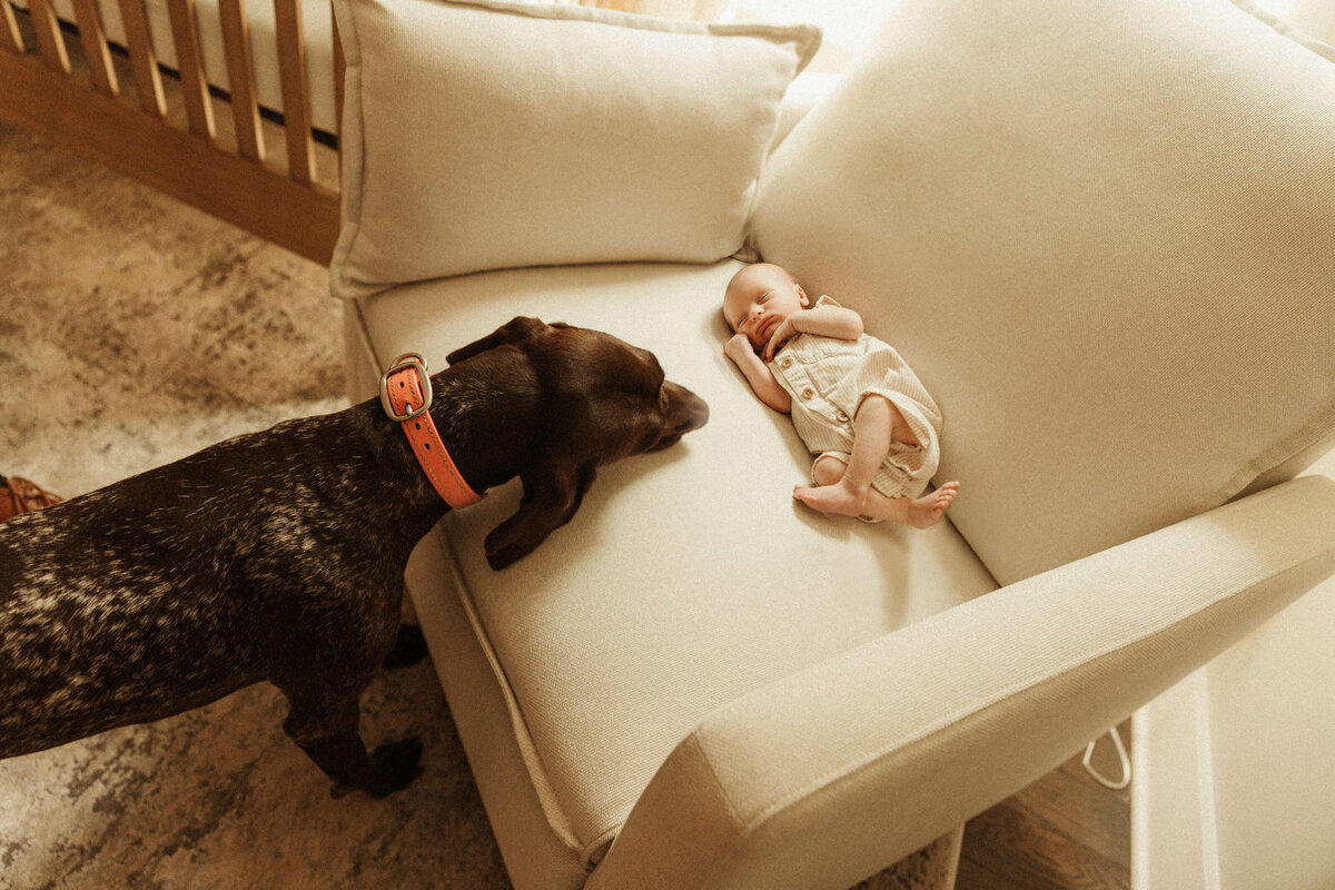 Baby lying on parents’ bed during lifestyle newborn session in Franklin Tennessee