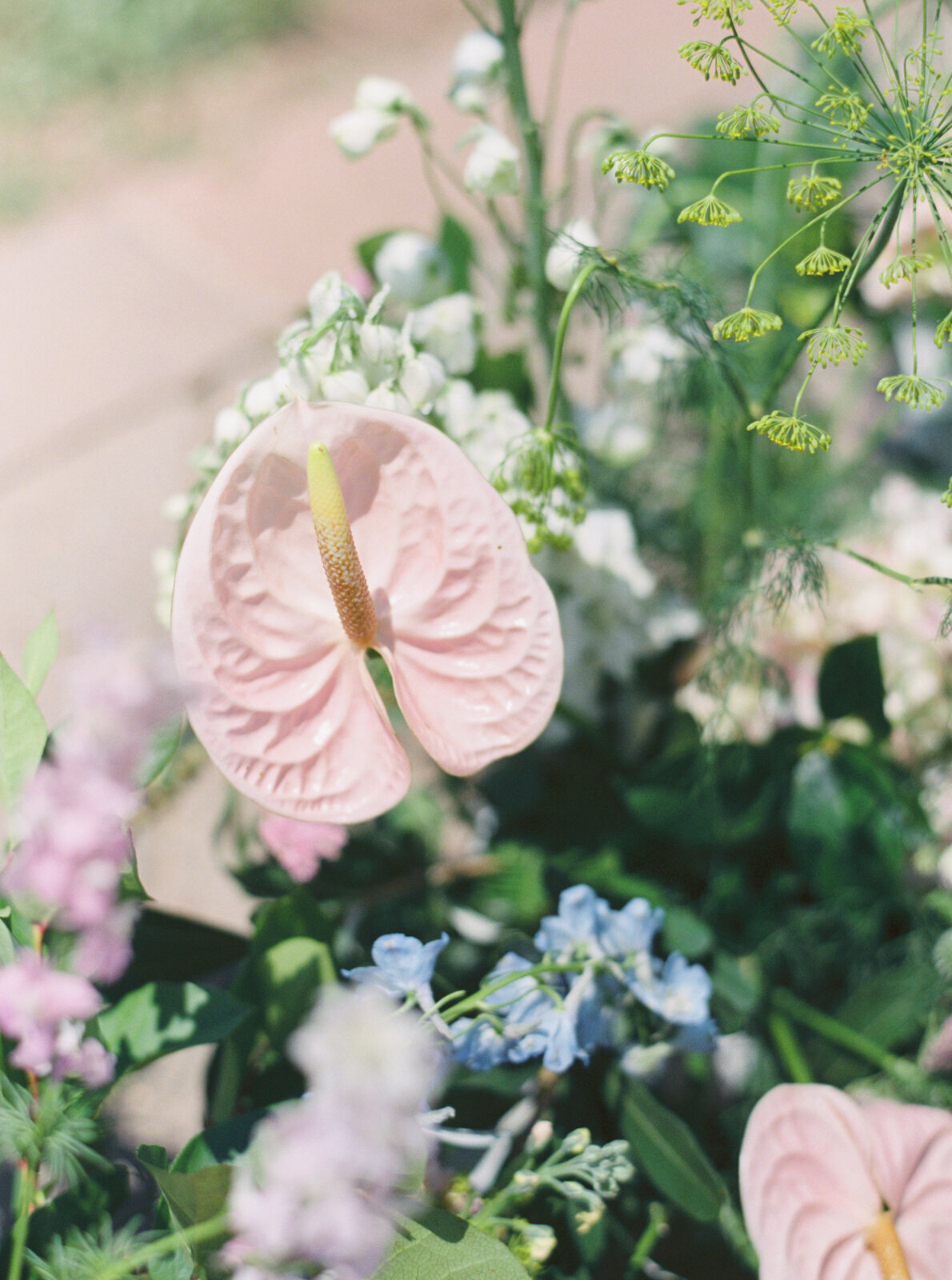 Vail-wedding-photographer-colorado-mary-ann-craddock-photography_0070