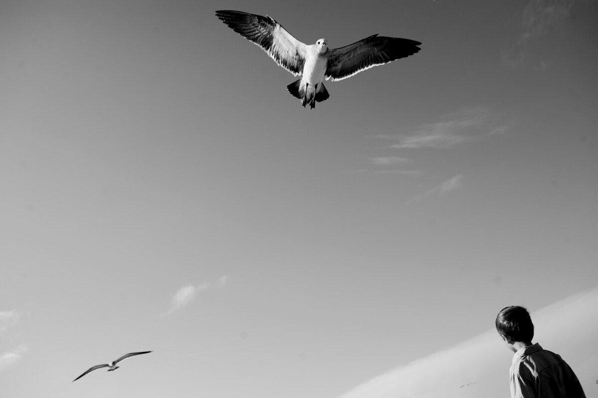 world's-best-vacation-photographer052