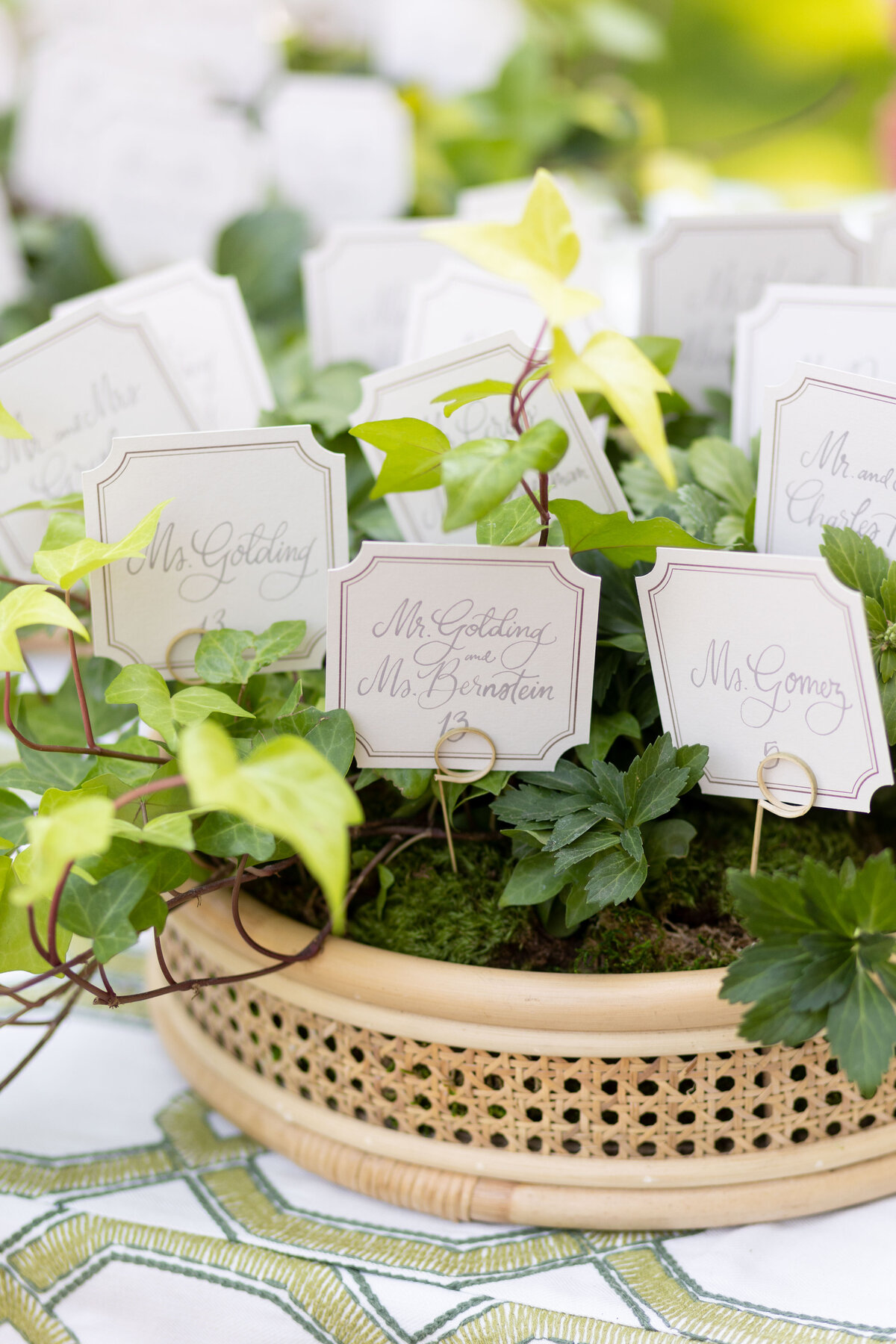 Caroline and Clemens Wedding - Natalie Probst Photography0621