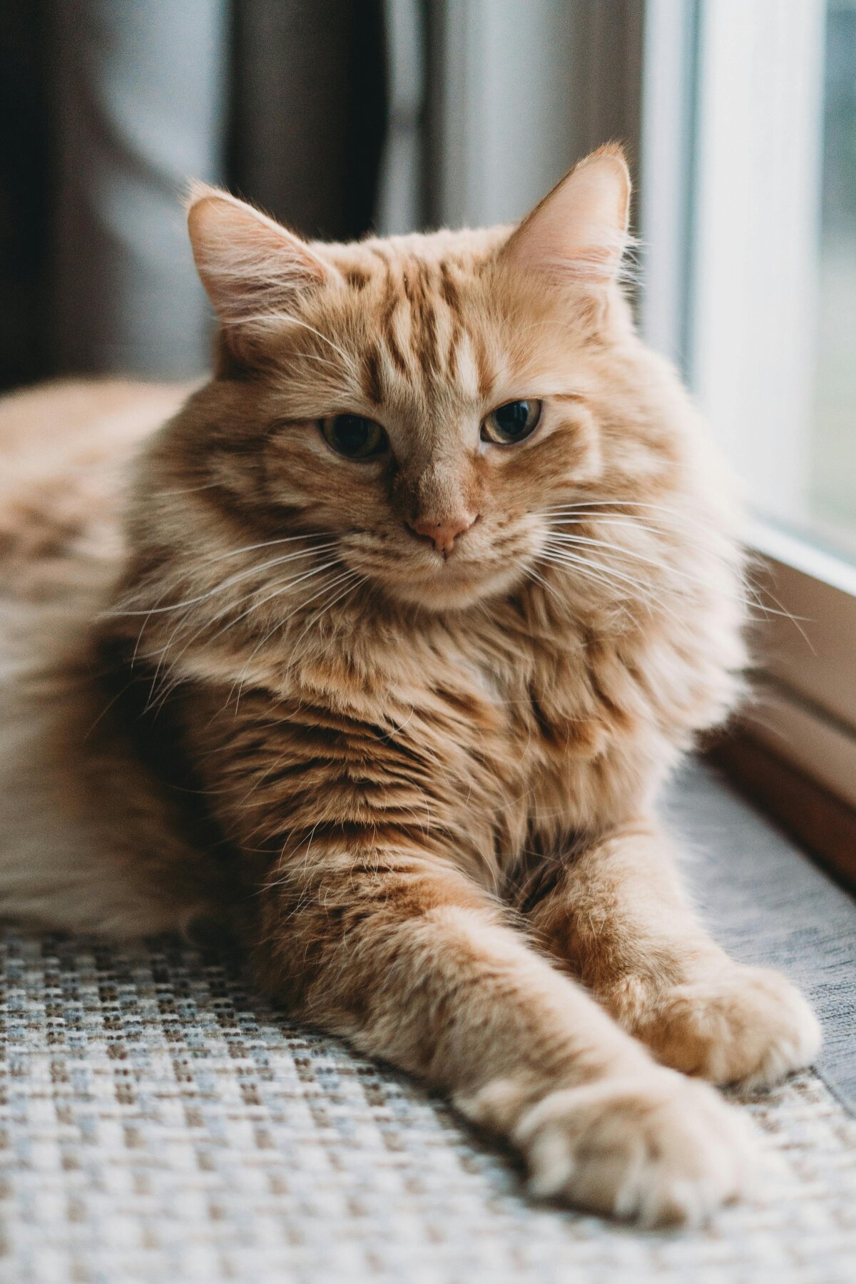 pexels-steven-van-elk-9757164-15511194