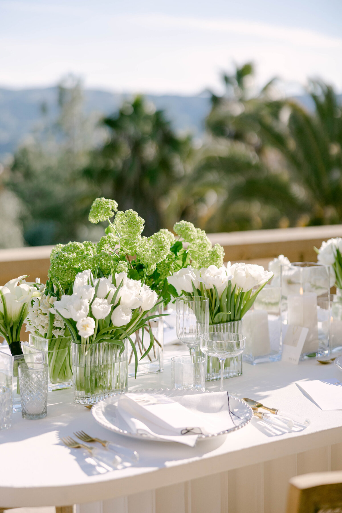 LaurenDinhPhotography_216