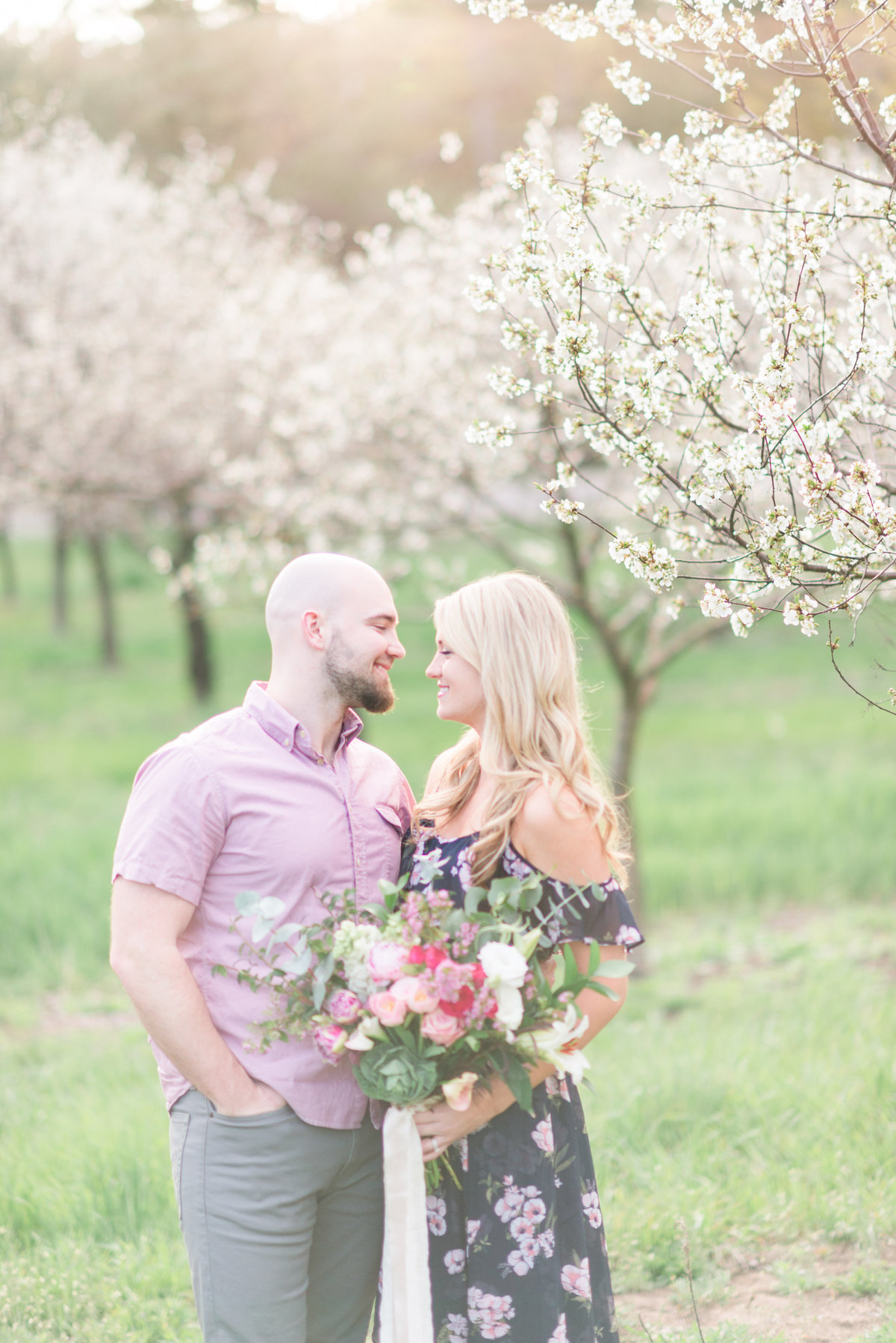 spring engagement portraits in the blooming cherry blossom orchard of michigan