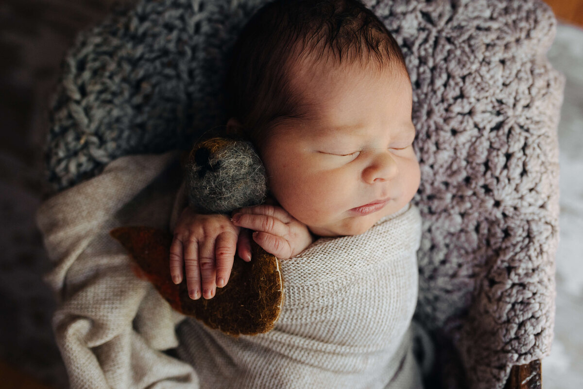 westchester-new-york-newborn-photographer-02