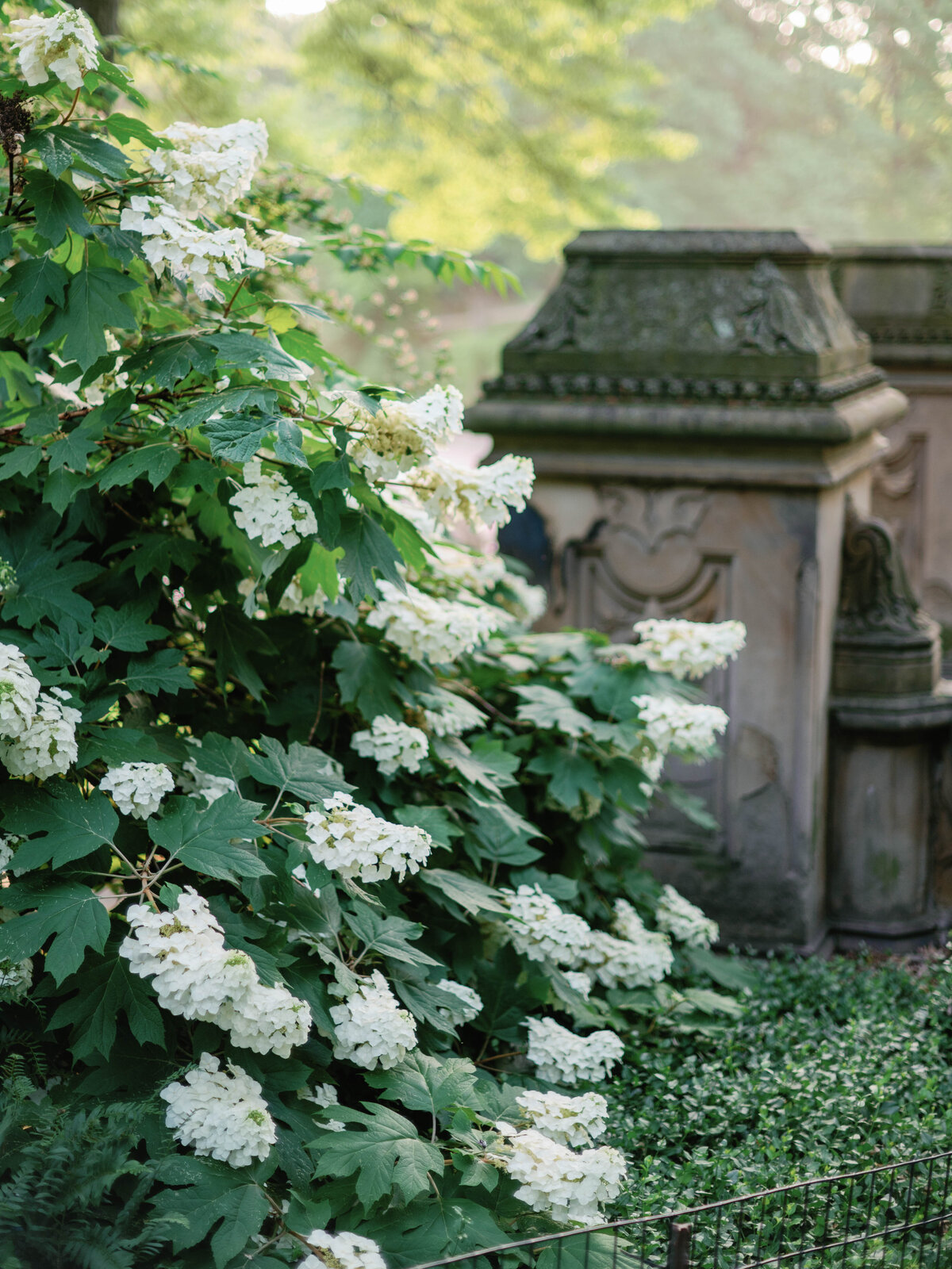 Kelli&Alberto-Engagements-284