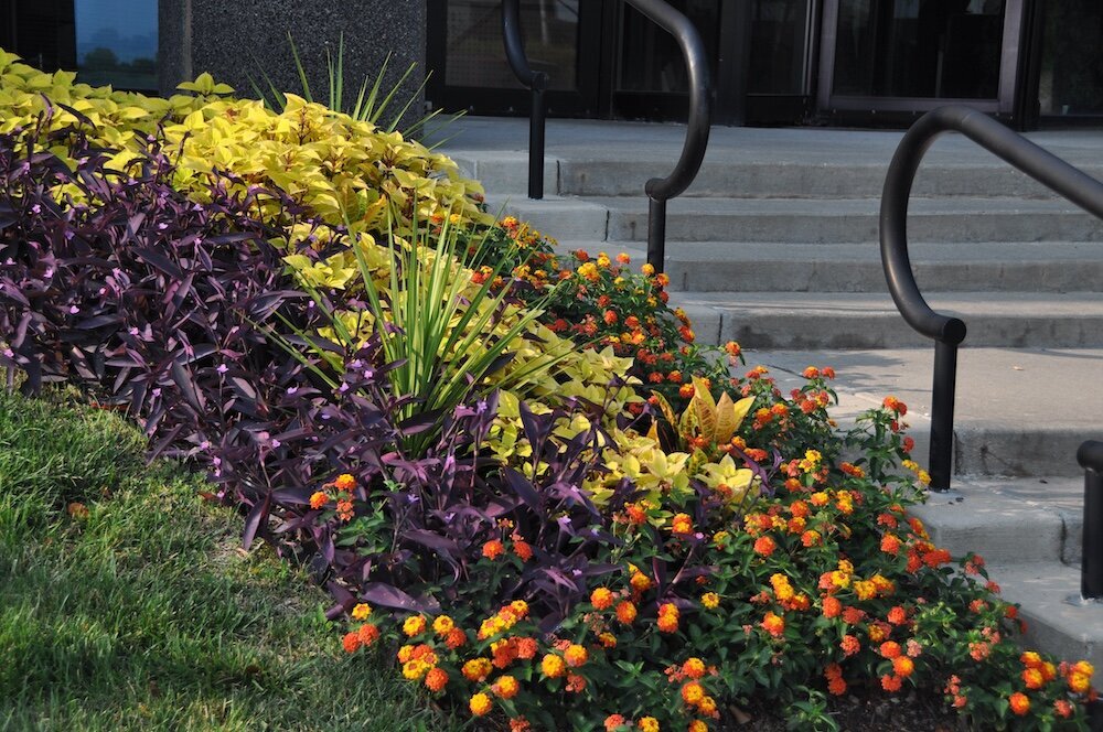 Commercial landscape company project in Kansas City