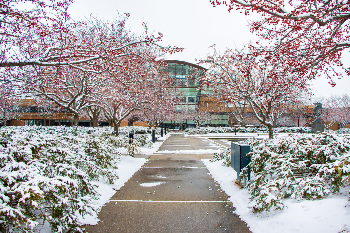 011821 Zahnow Library centered surrounded by red berries and snow copy