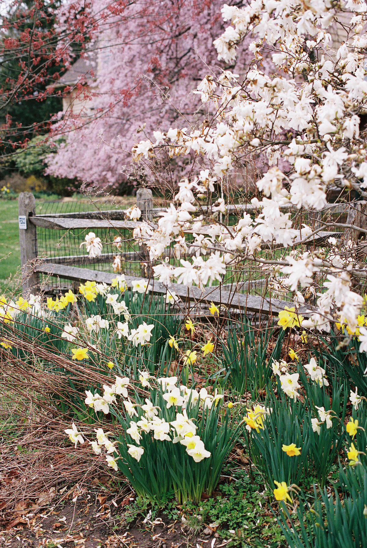 blauvelt-new-york-jamie-shields-photography-2
