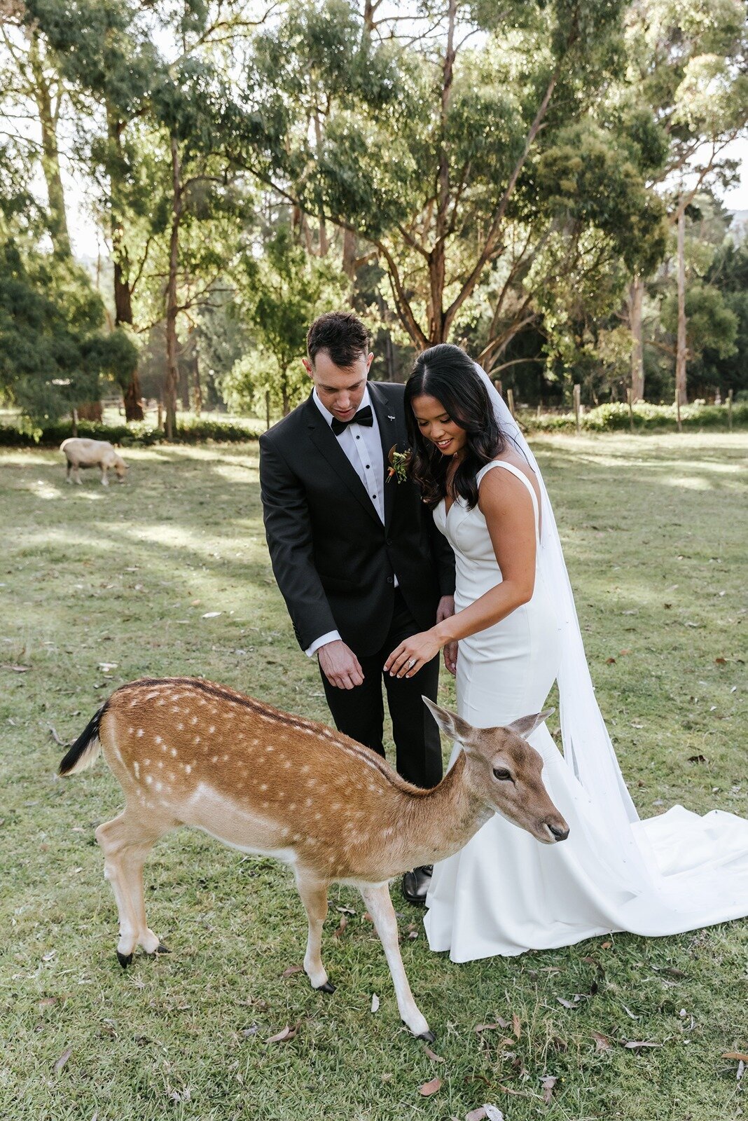 Elope-styled-micro-intimate-wedding-the-log-cabin-ranch46