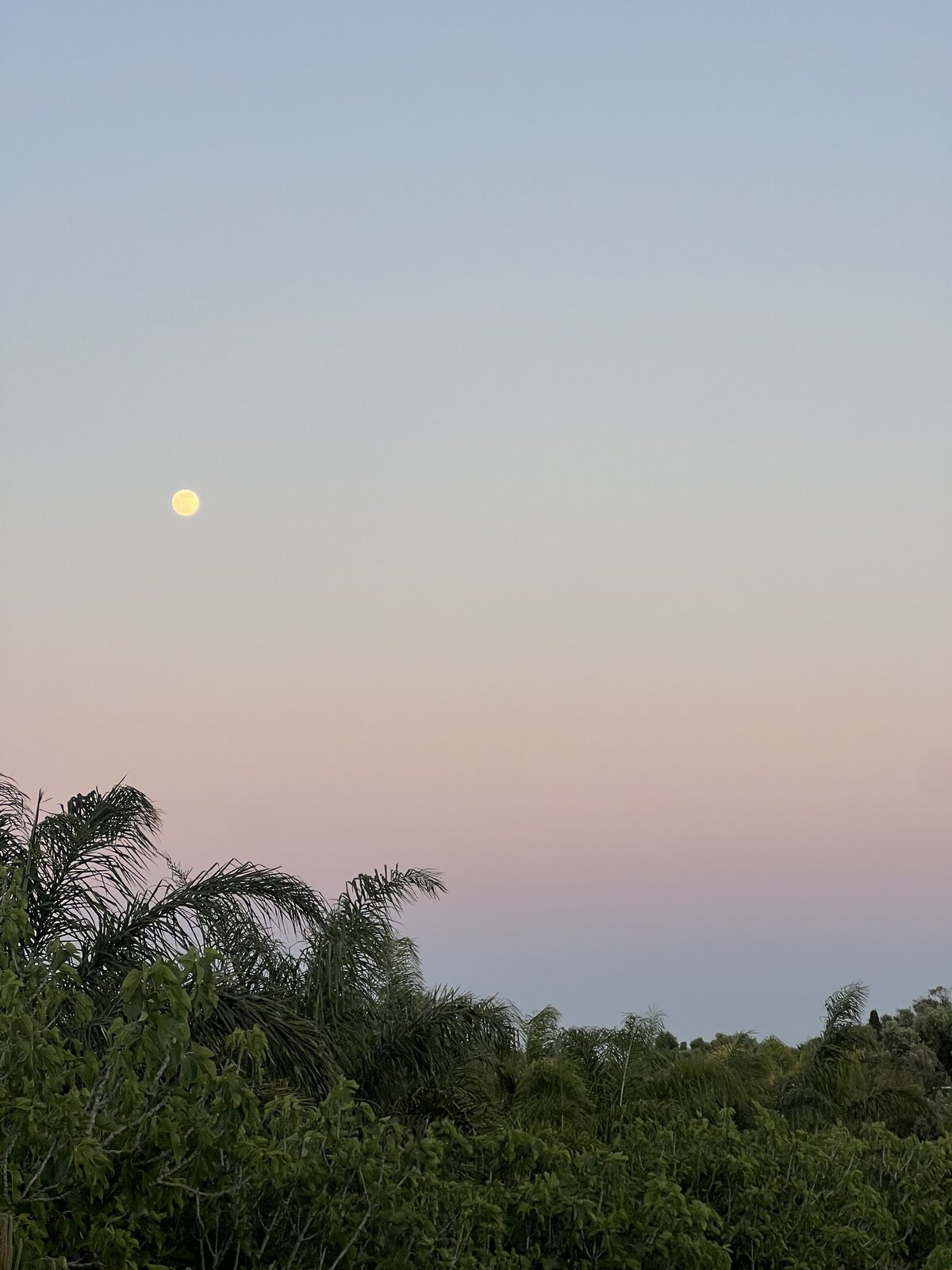 Becoming_Retreats_Luz8