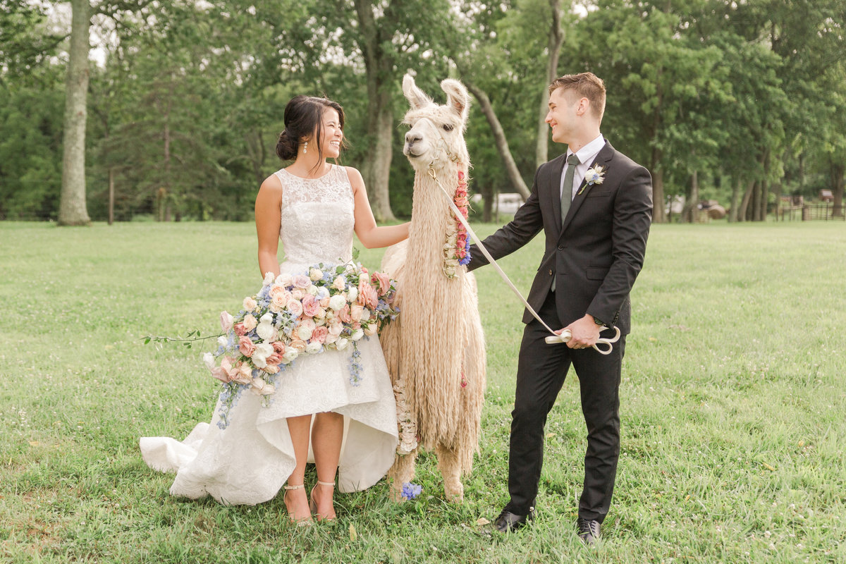 Llama Farm Wedding   Jocelyn Cruz Photography-26