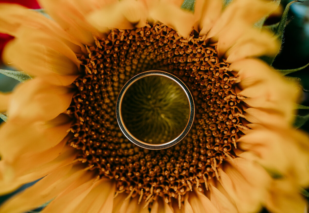 CANYONANDPINE_WEDDING_PHOTOGRAPHER-70