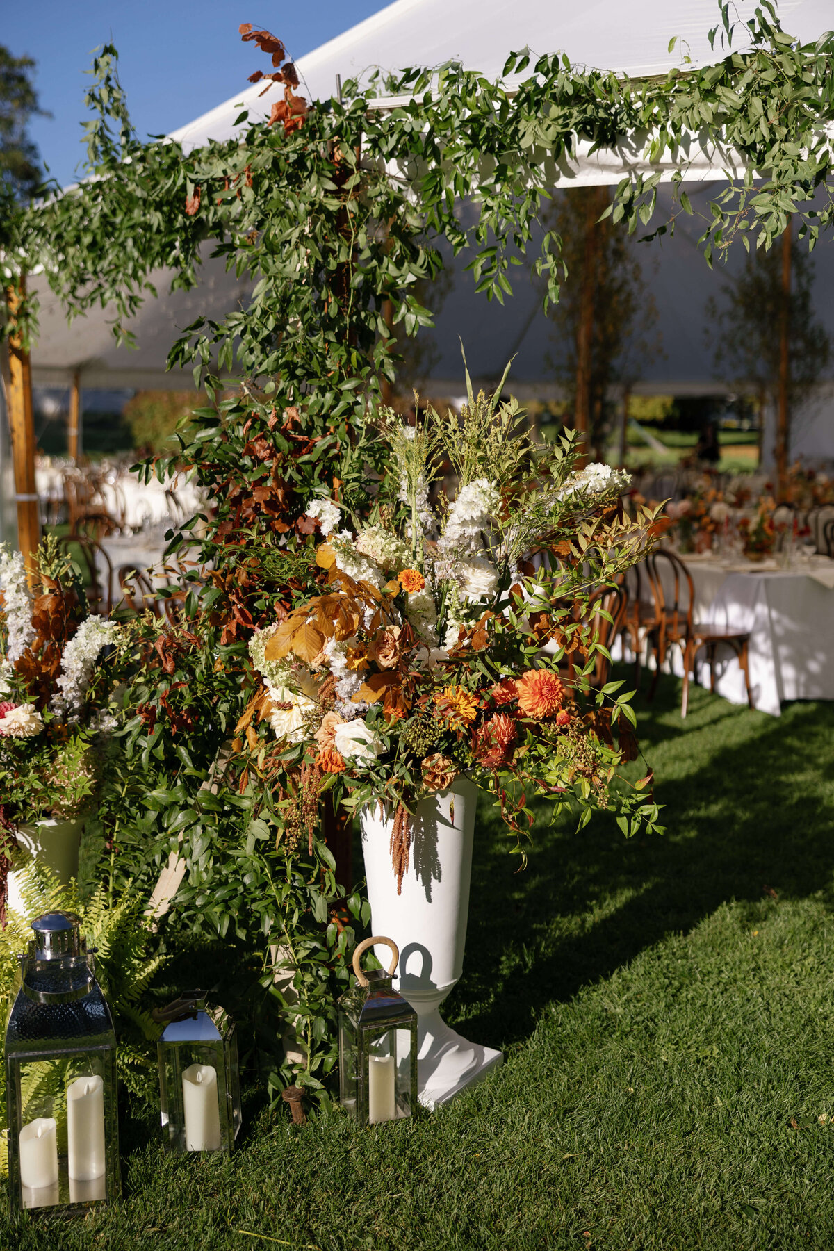 TriciaBaileyPhotography-970