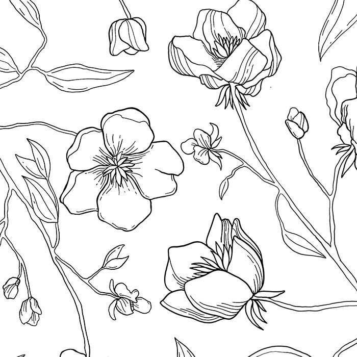 Illustration of flowers for a wedding invite's background