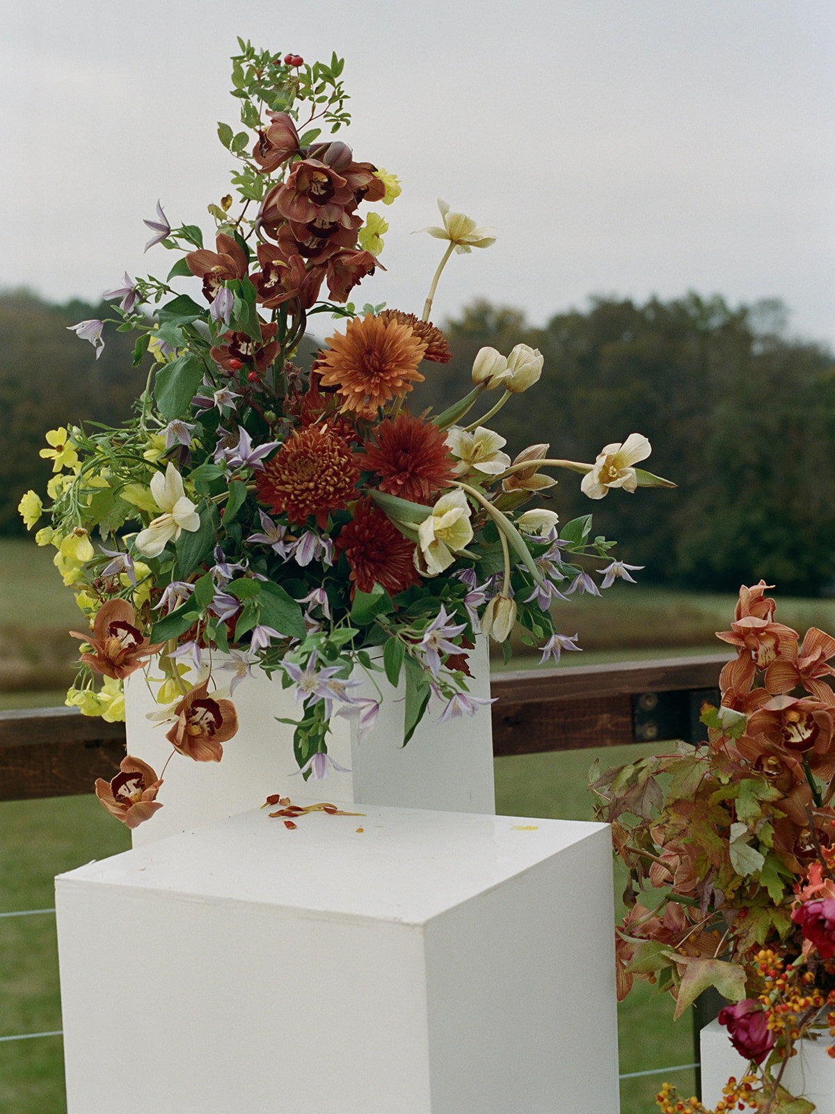 Sculptural columns wedding ceremony backdrop. Stair step white ceremony columns adorned with sculptural floral meadows in fall hues. Clear top tent build out for fall wedding reception in Tennessee hills. Wire threaded orchids, bittersweet berries, butterfly ranunculus, and tulips are highlighted in this wedding ceremony backdrop. Artistic fall color palette in copper, gold, ruby, lavender, and rust. Design by Rosemary & Finch Floral Design in Nashville, TN.