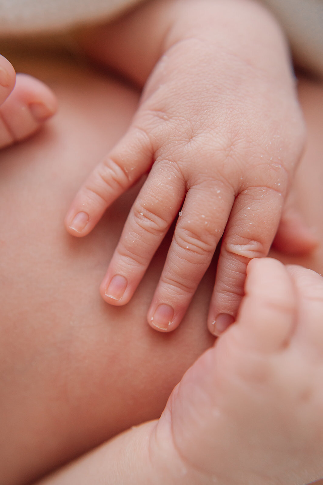 ARLO_NEWBORNSESSION_0079_websize