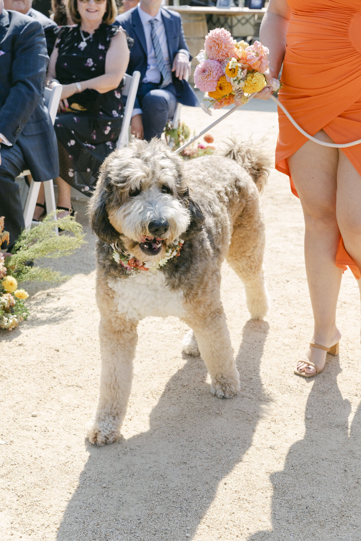 PERRUCCIPHOTO_CARMEL_VALLEY_RANCH_WEDDING_114