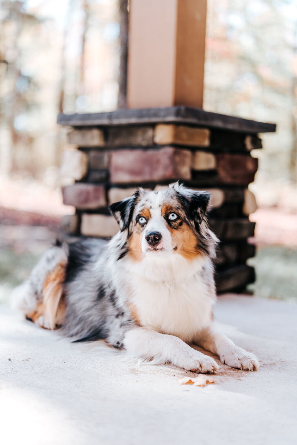 4-web-or-mls-HENRY-5