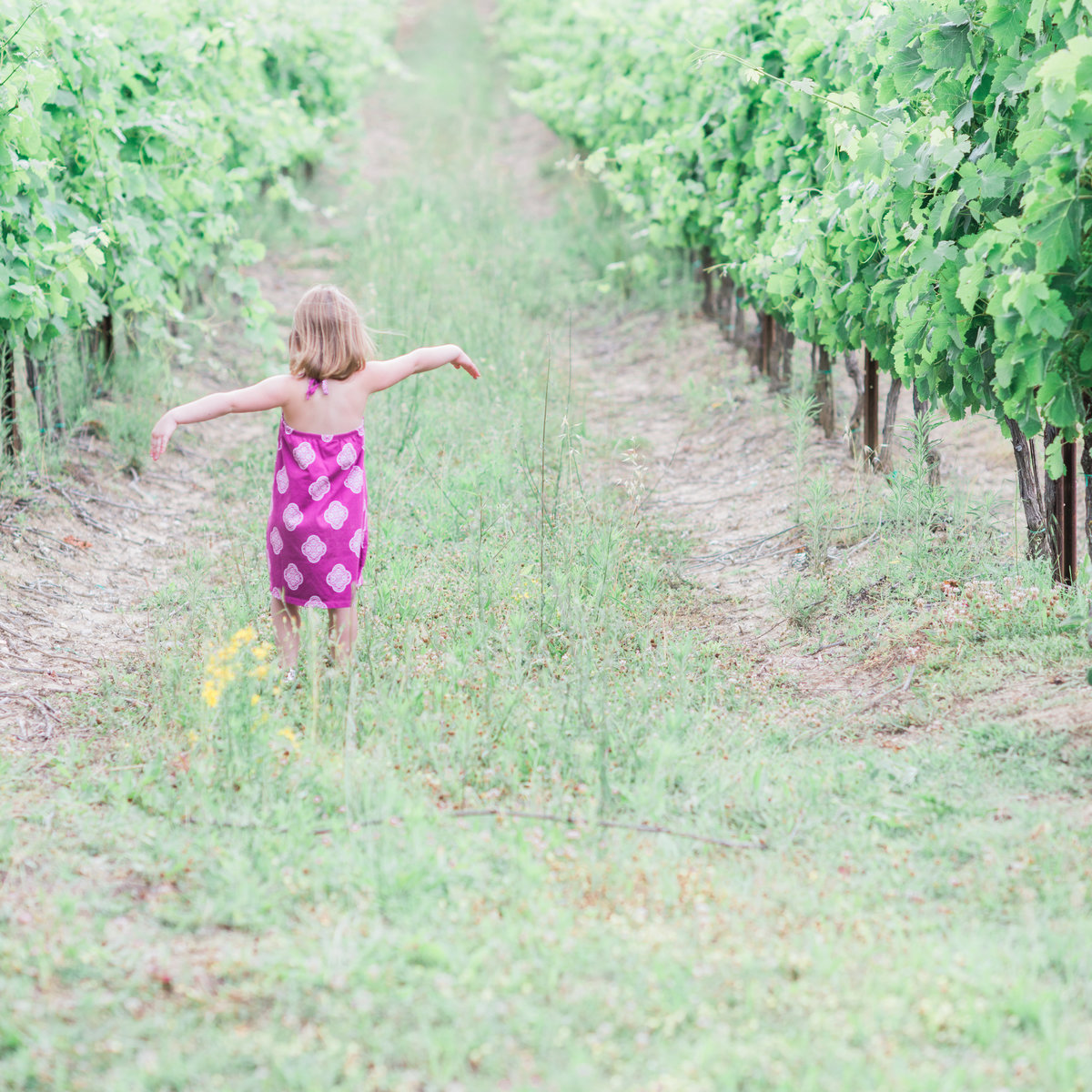 little girl playing in vineyard in italy