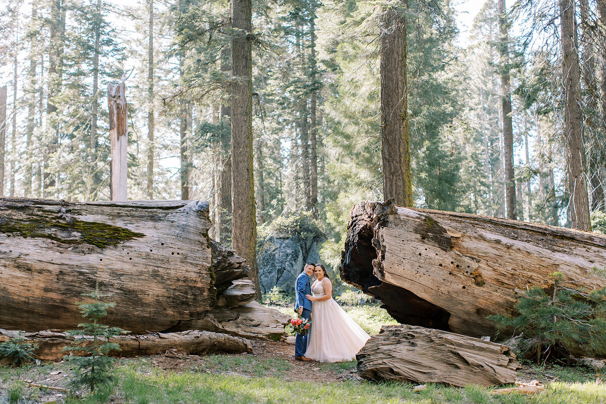 Brit and Carley Elopement in Sequoia National Park-227_websize