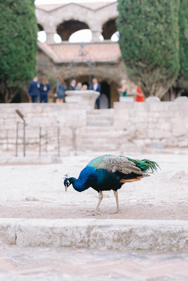 greek wedding planner (1)