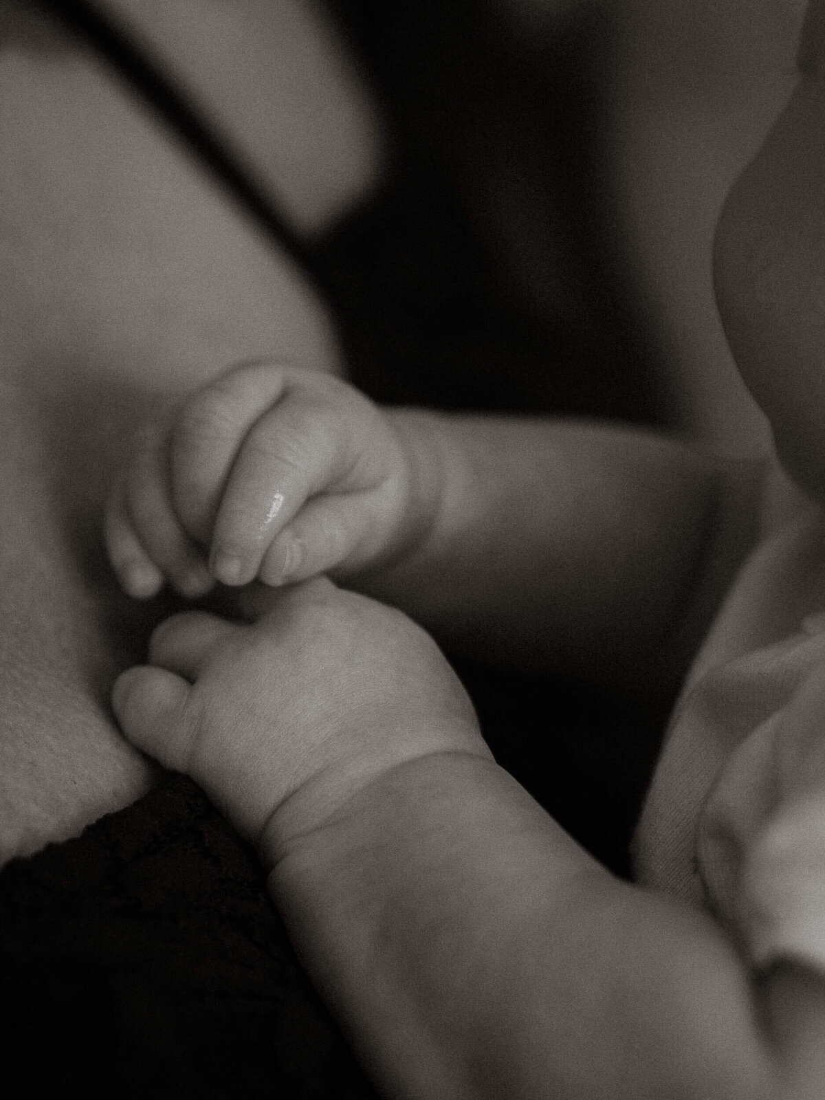 Black and white image of baby's hands while resting against mom's chest. A beautiful detail shot of baby's little hands.