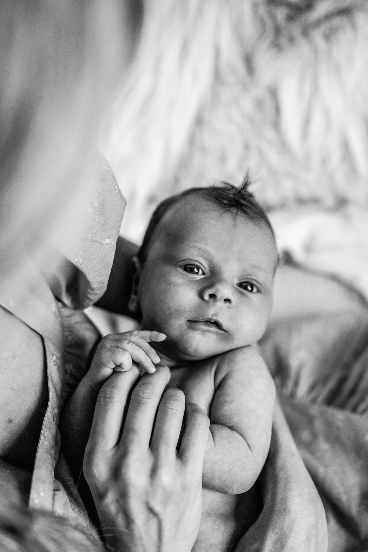 Newborn portrait in mother's arms.