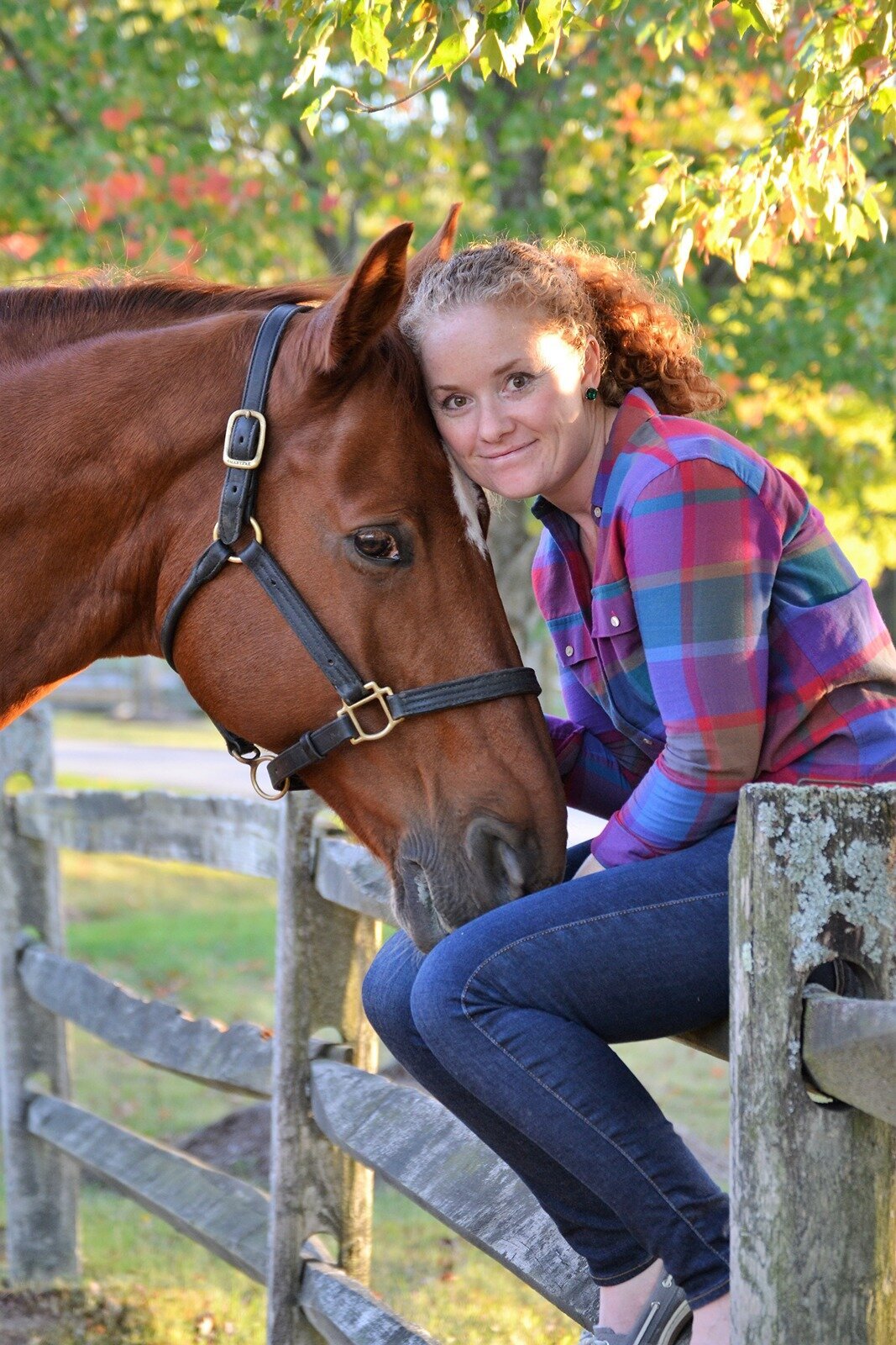 jessie-paine-jp-dressage-3