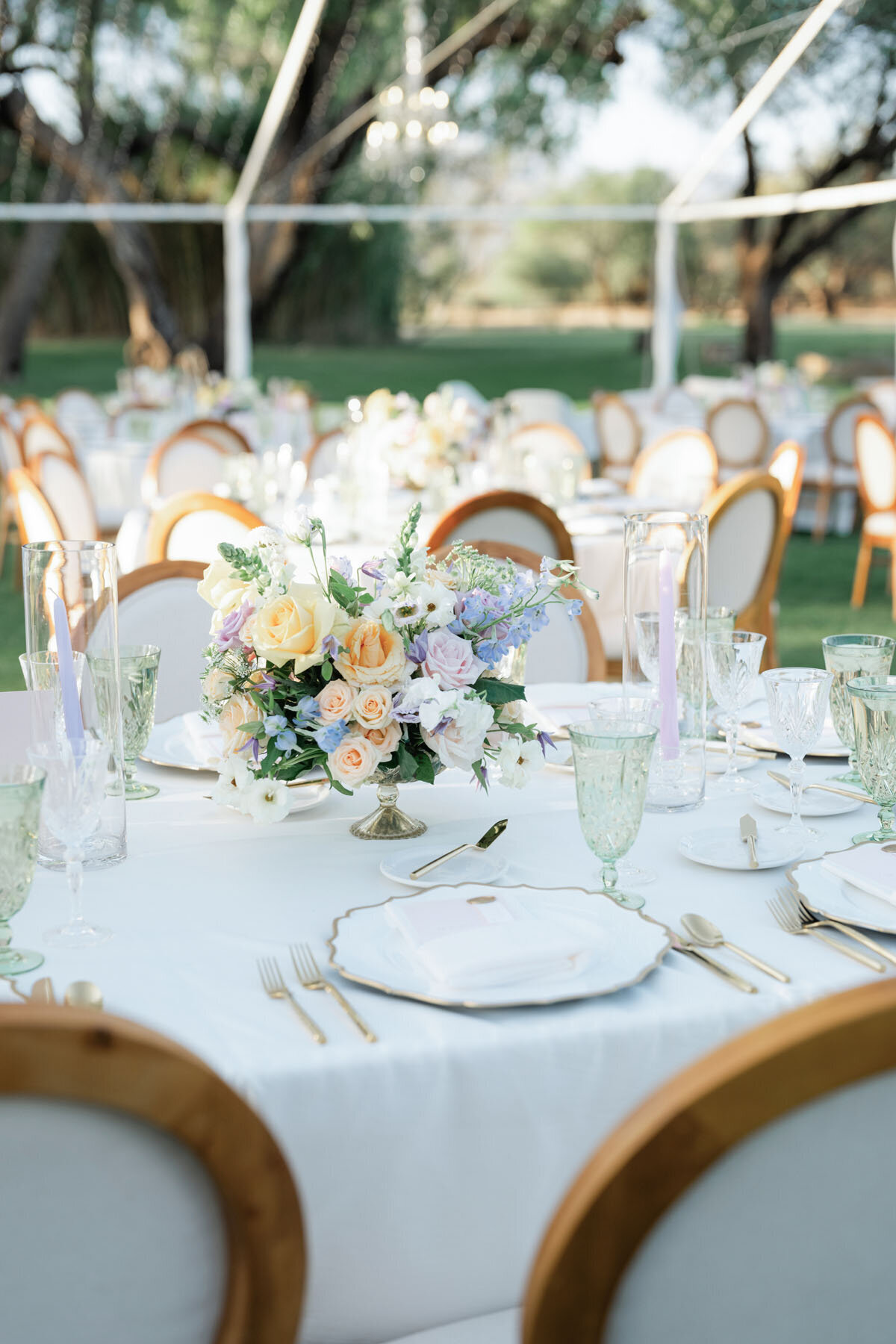 Tucson wedding photo at La Mariposa venue with desert atmosphere
