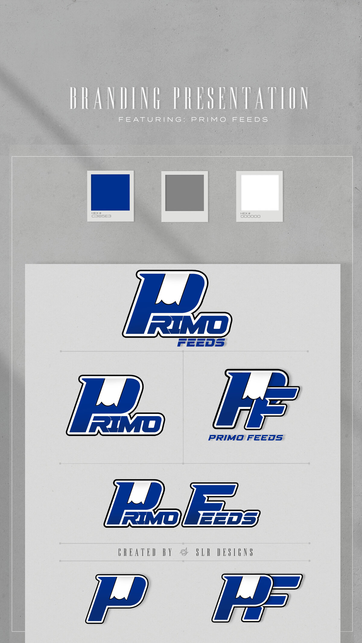 LogoDelievery(PRIMO) 2