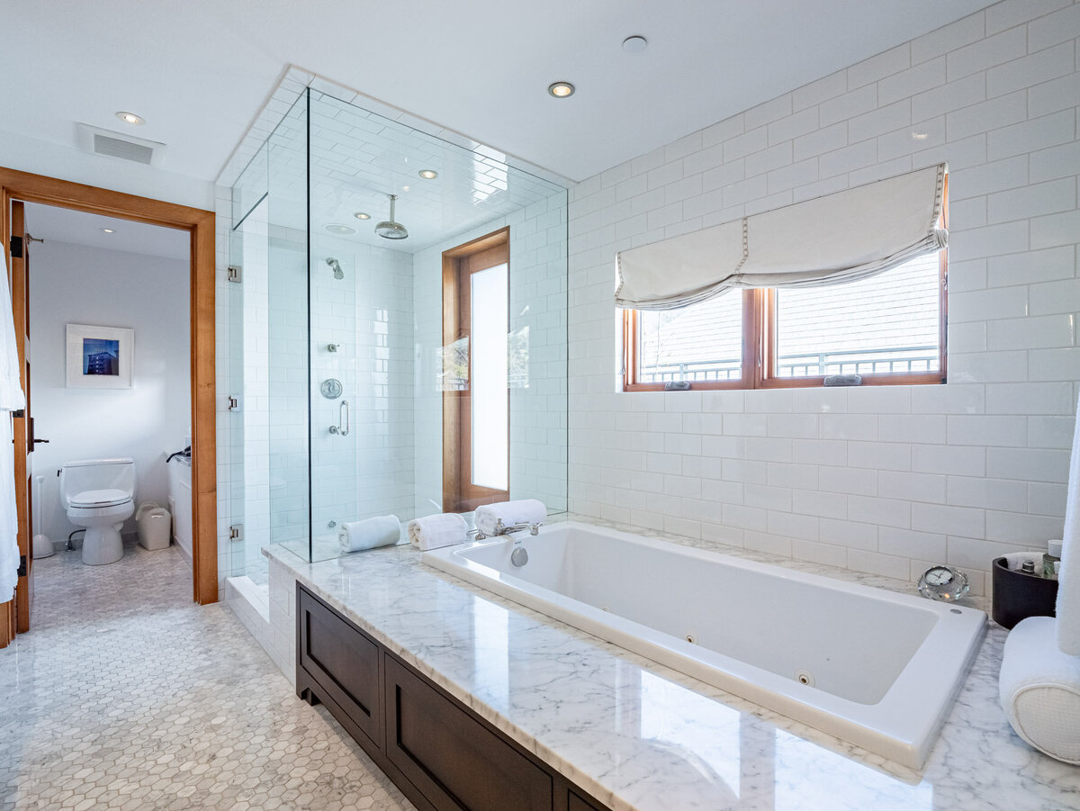 MLS - 532 E Hopkins Ave - Aspen, CO-21