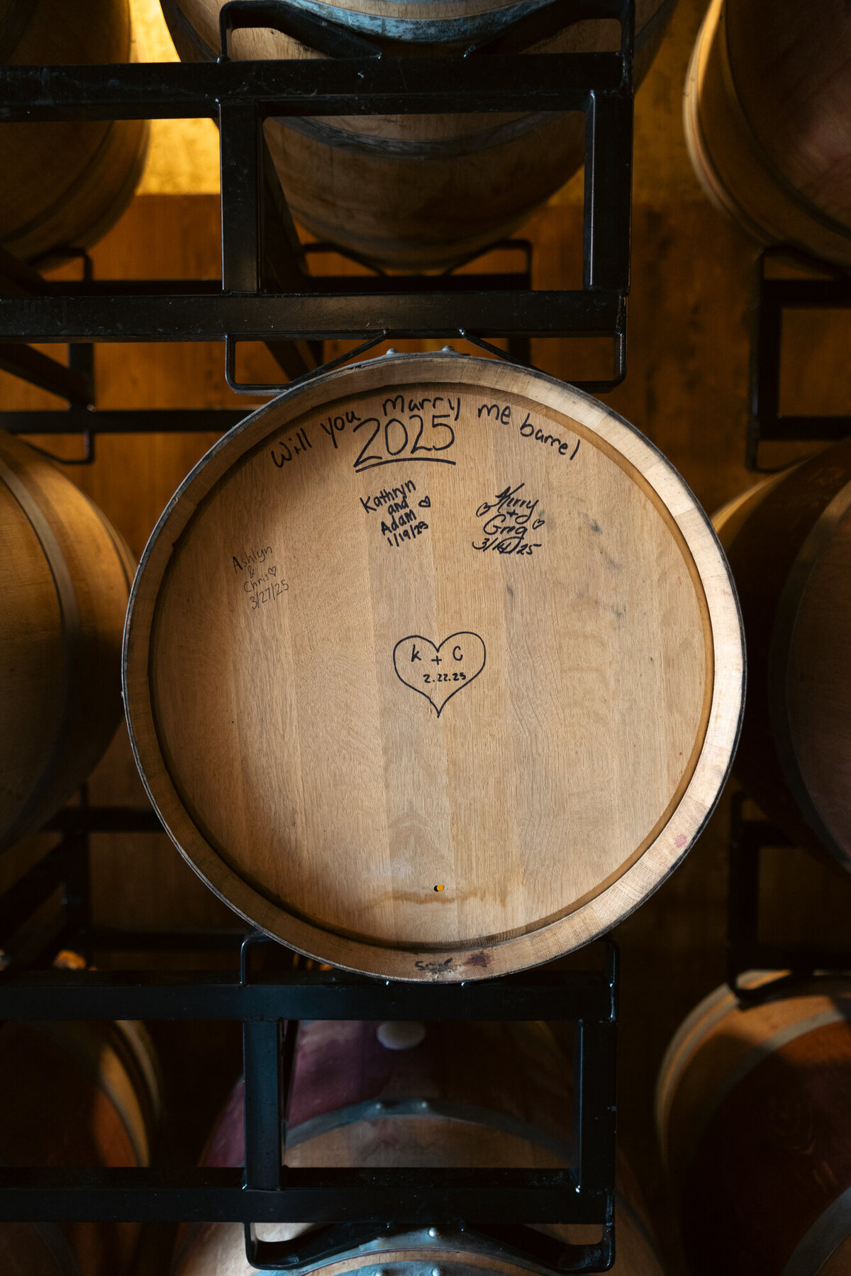 Roo Mountain Vineyards Todd Graham Photography Ellijay Georgia-4