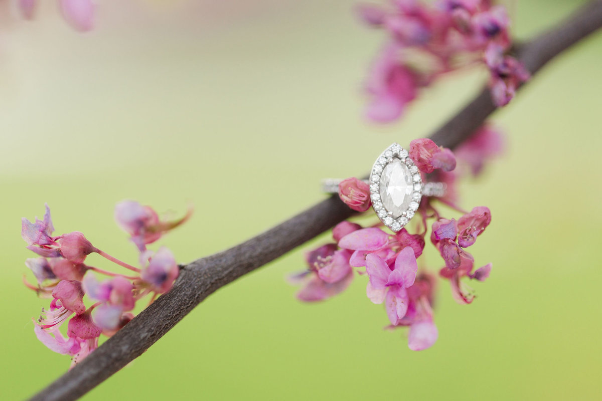 Haley&RyanEngagement-2018-7995