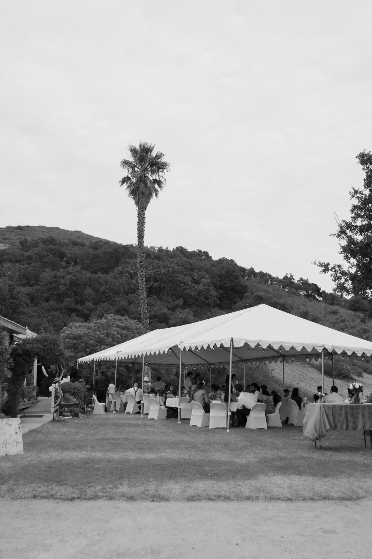 untitled-02885-Copy1