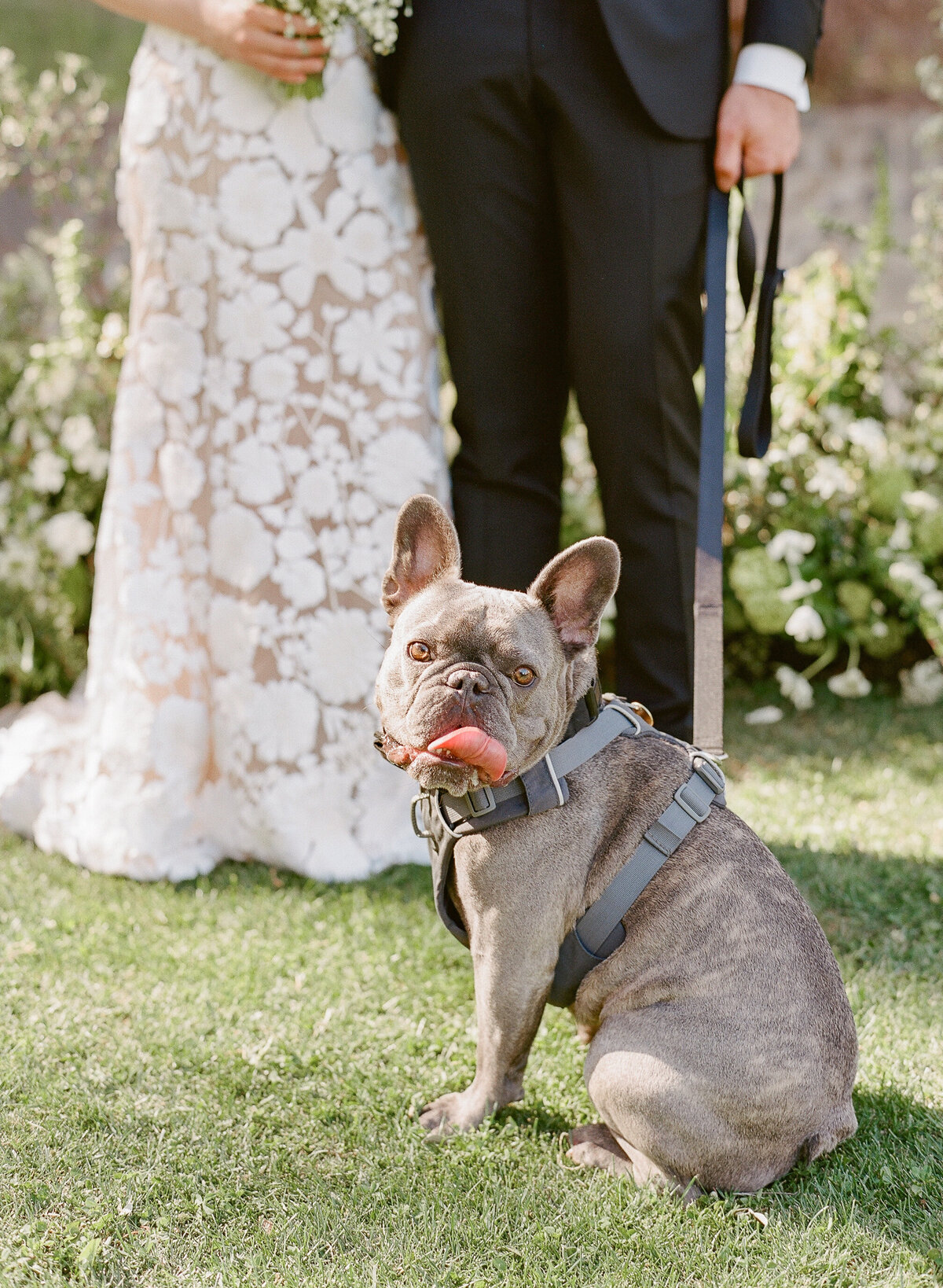 Cavallo Point Wedding-17