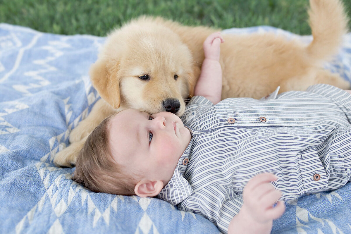 60085991_1180209018847811_1121546339012837376_n copy