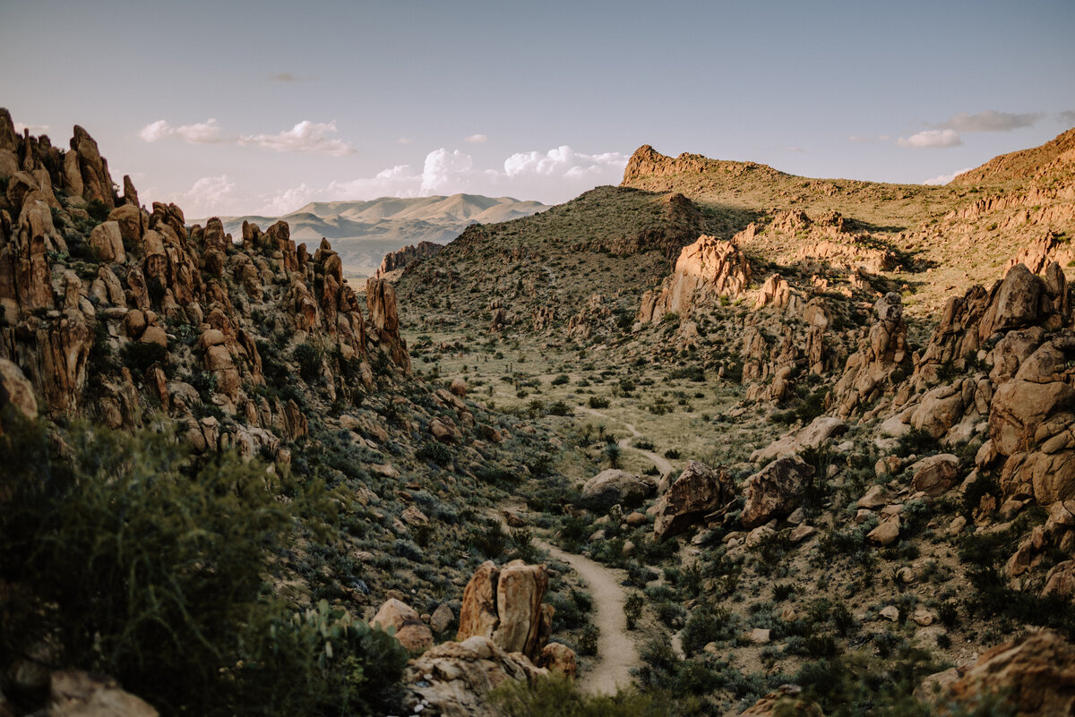 mountain and dessert