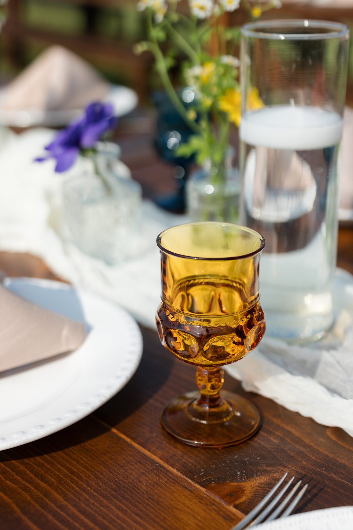 Backyard-Wedding-Rogers-MN-B&S-Will-DeGraw-Clever-Disarray-44