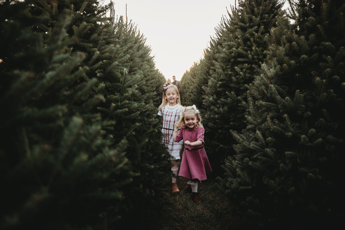 KristeenMarie-Photo-tree-minis-4066