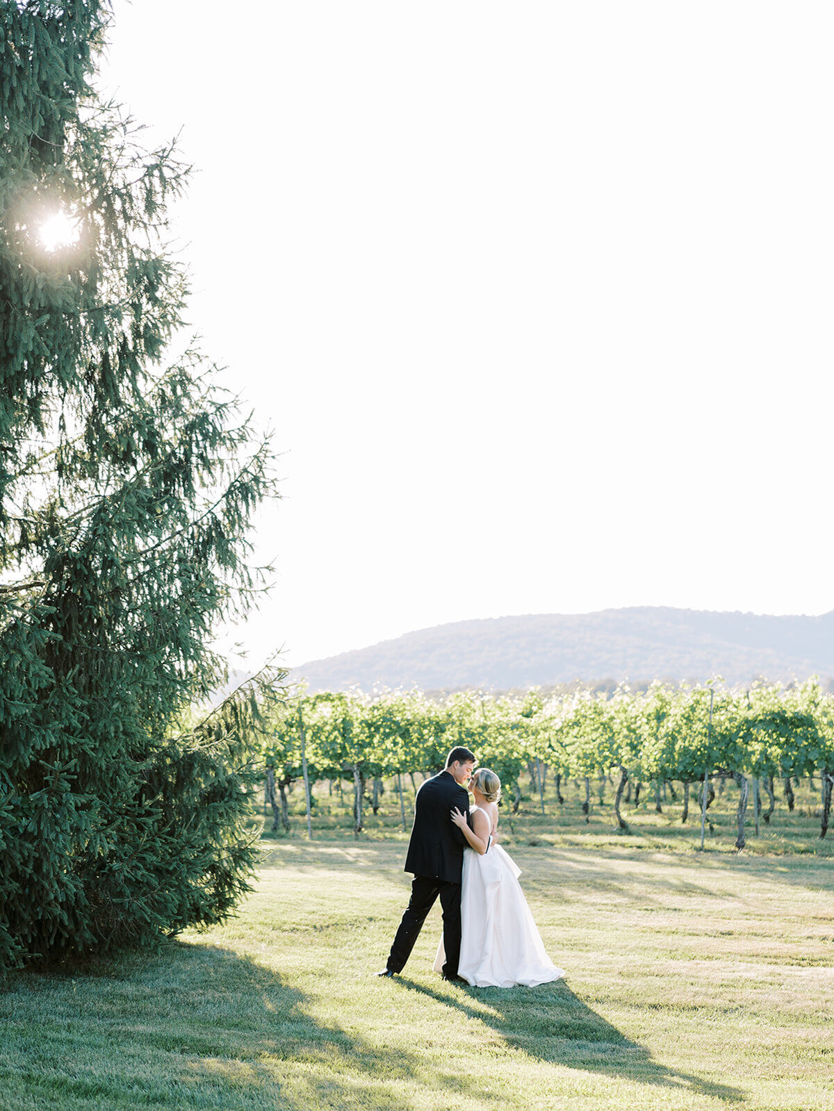 Virginia Wedding Photographer Natalie Jayne Photography-03517