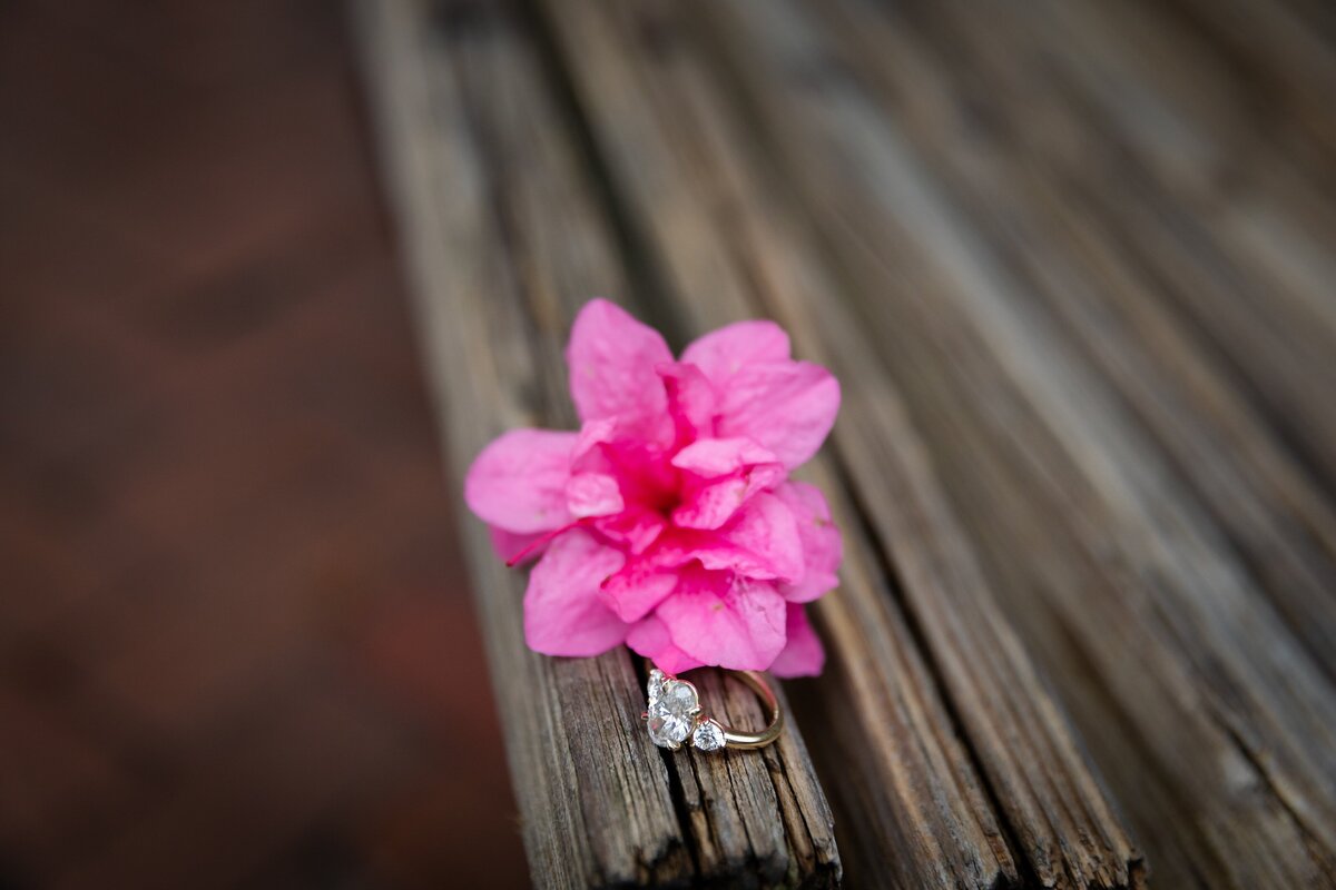 Surprise Proposal Photographer in Savannah | Phavy Photography--82