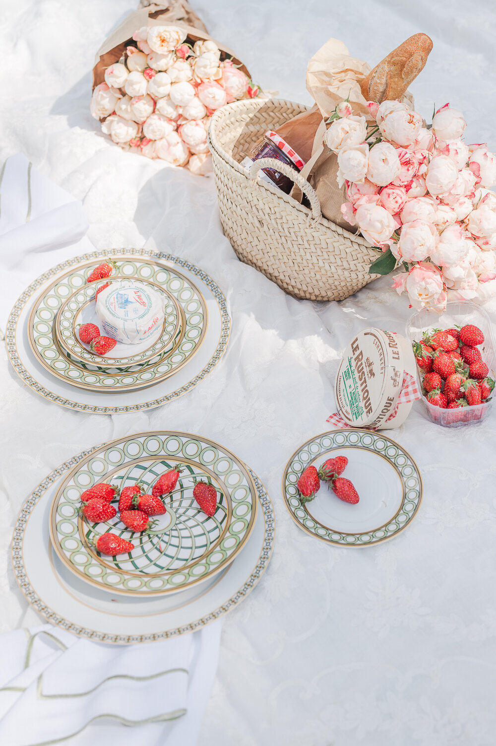Engagement-shoot-picnic-in-France-2-26