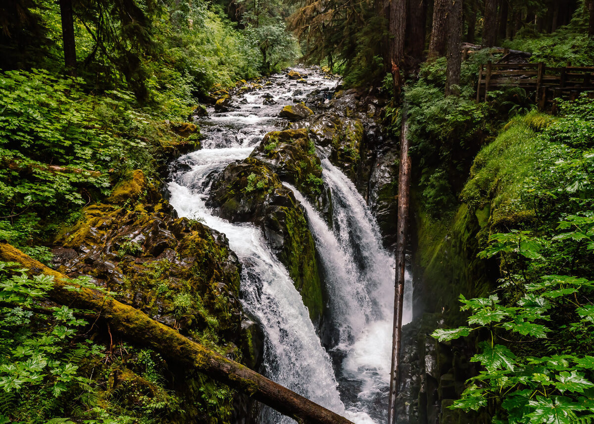 a cascading triple-headed waterfall makes the perfect location for a washington elopement