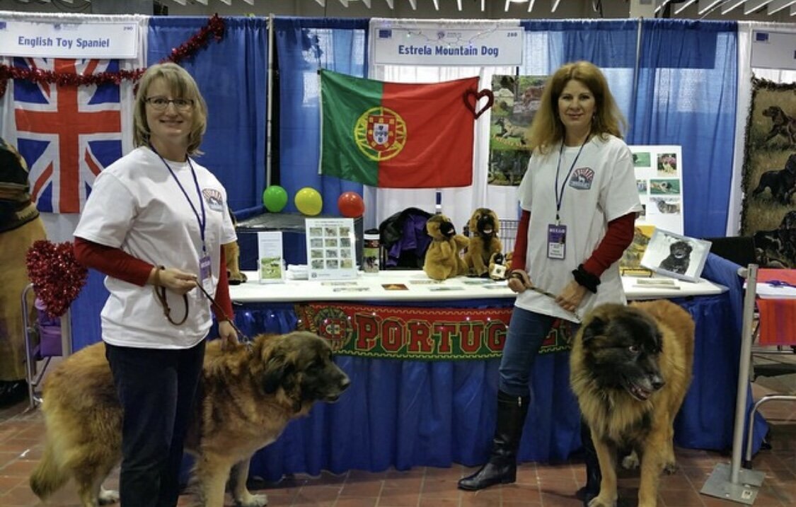 Westminster Meet the Breed Pash & Dourado 2015