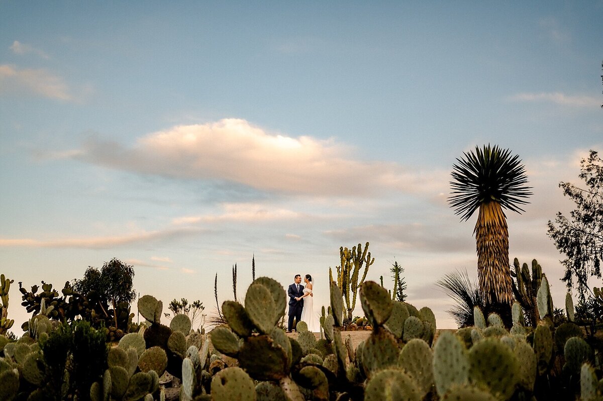 elopement in a cactus garden