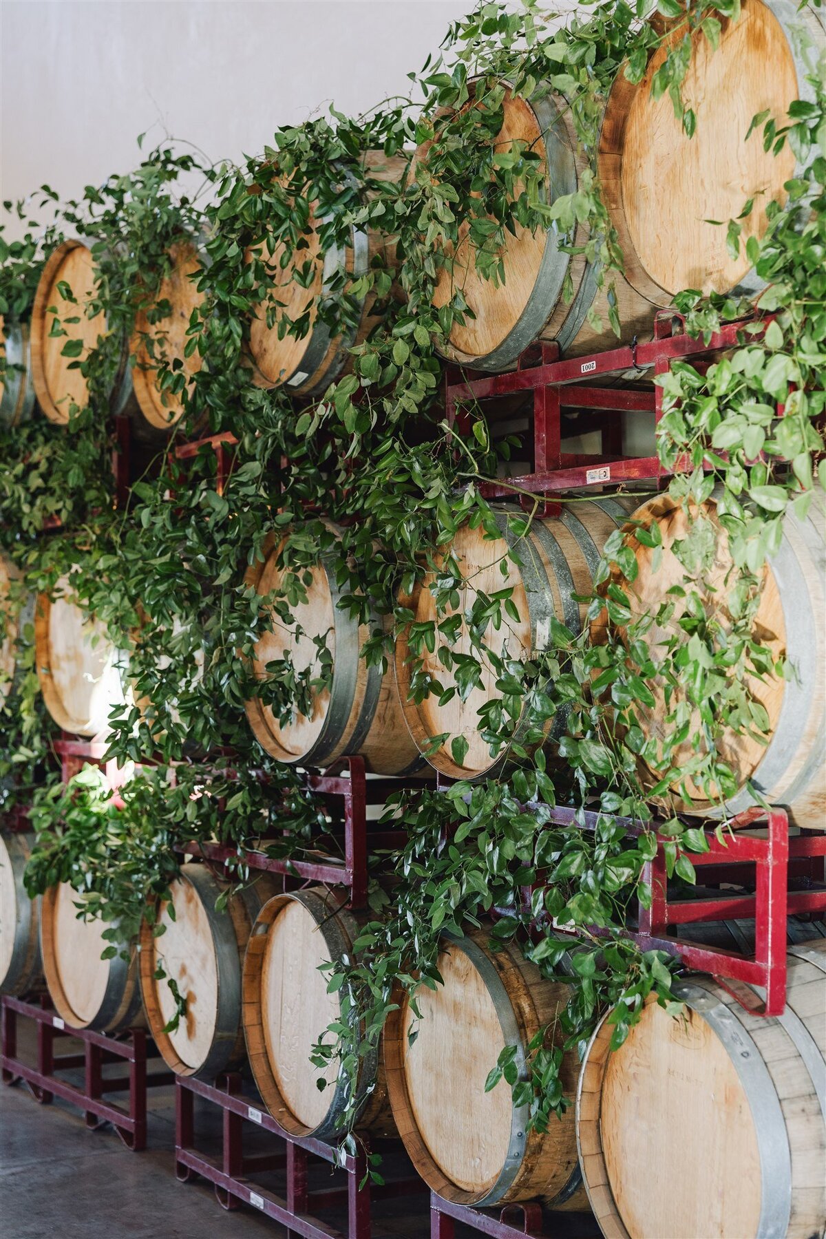 viansa-sonoma-wedding-annie-ben-ashley-carlascio-photography-0534