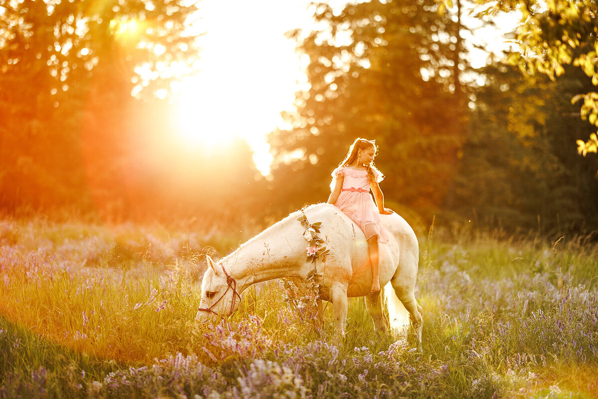 horseandrider_portraits_equine_sessions_photographer (12)